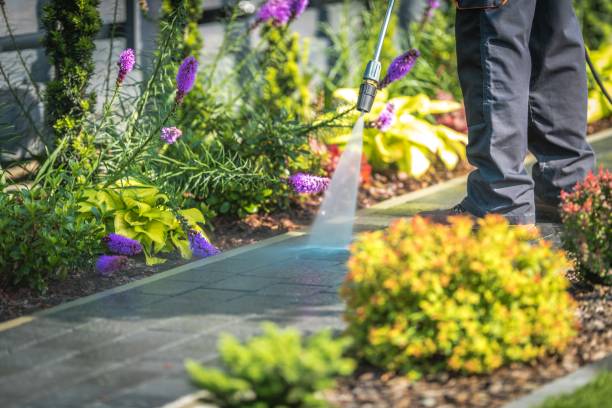 Reliable Highland Park, NJ Pressure Washing Services Solutions